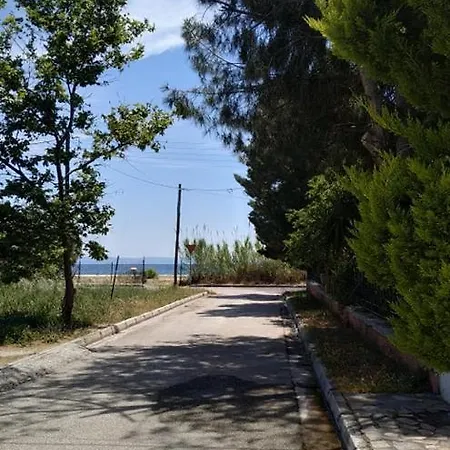 Near The Sea, Daire *