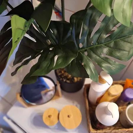 Near The Sea, Apartament Wolos